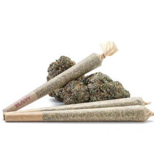 Buy Gorilla Pre-Rolled in Dubai