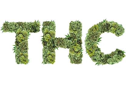 weed delivery in Dubai