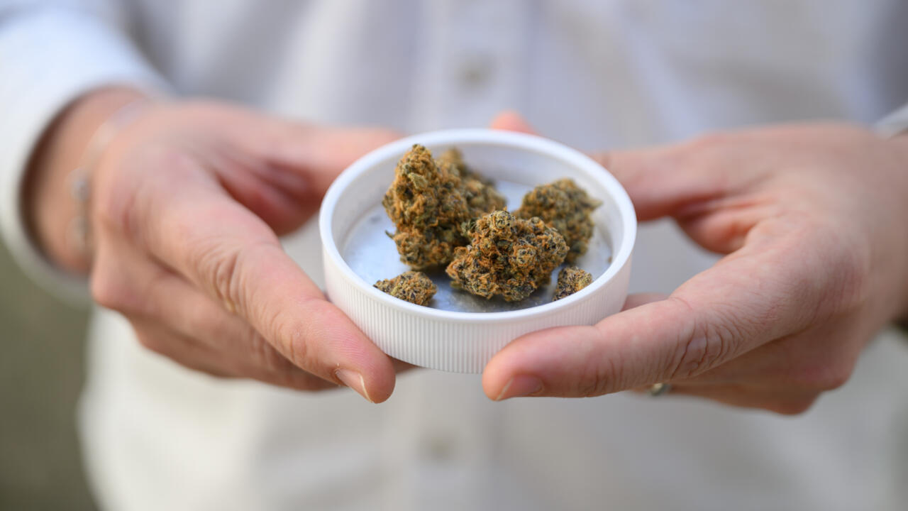 marijuana in Dubai marijuana in Dubai